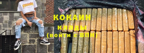 гидра Снежногорск