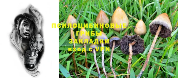 ешки Белокуриха