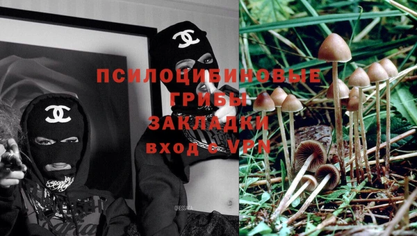 молекула духа Семилуки