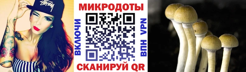 Псилоцибиновые грибы ЛСД Видное
